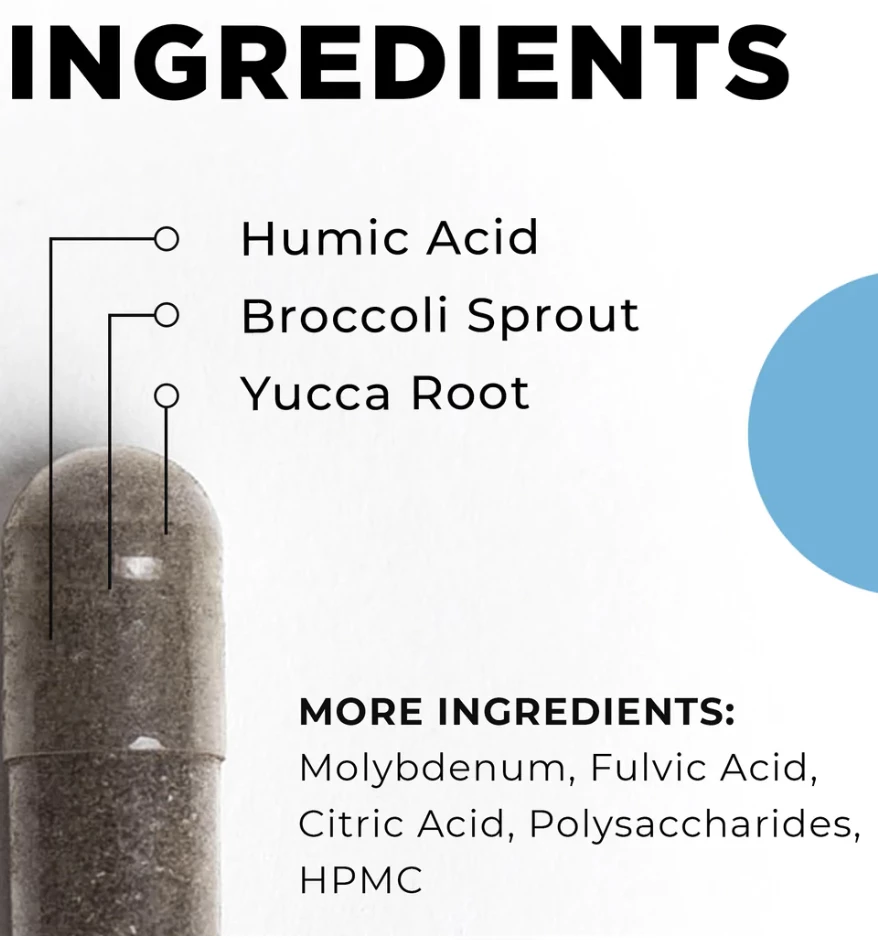 ec064c83 1d09 4a0f b718 87dba855a2ab