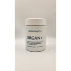 Body Health 100% Grass Fed Organ+ Front