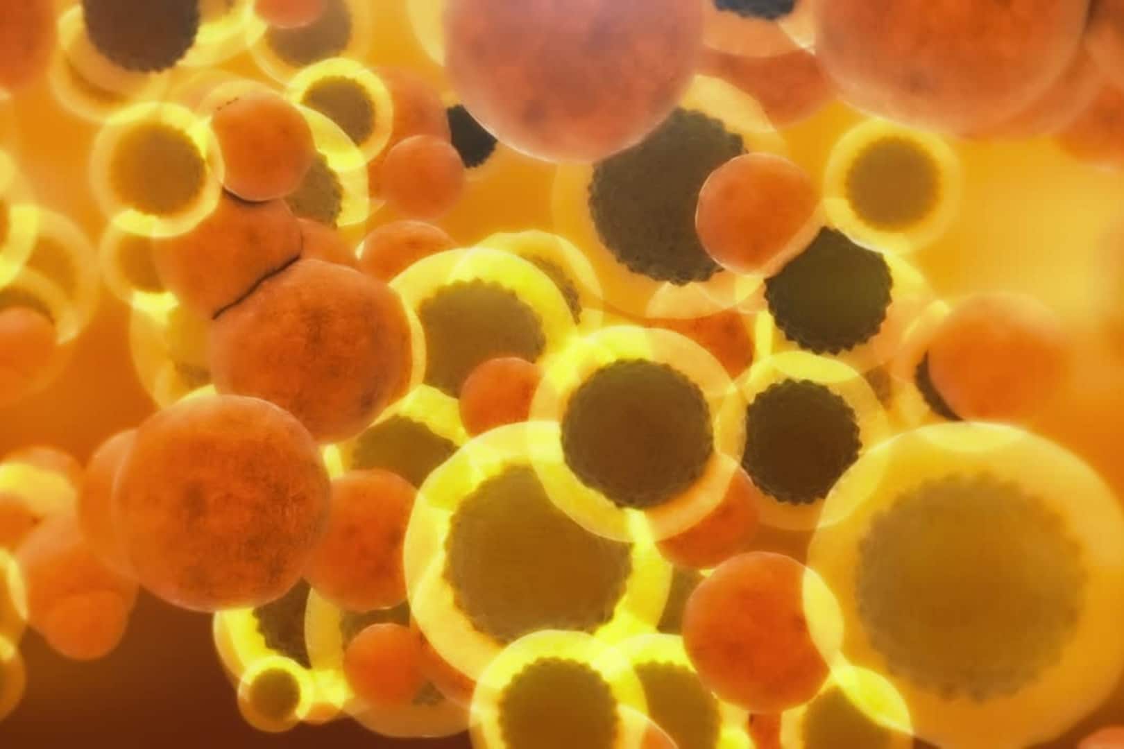 Debunking Cholesterol’s Role As A Villain In Our Lives