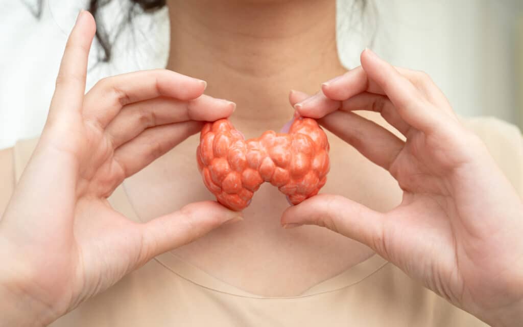 Thyroid Banner