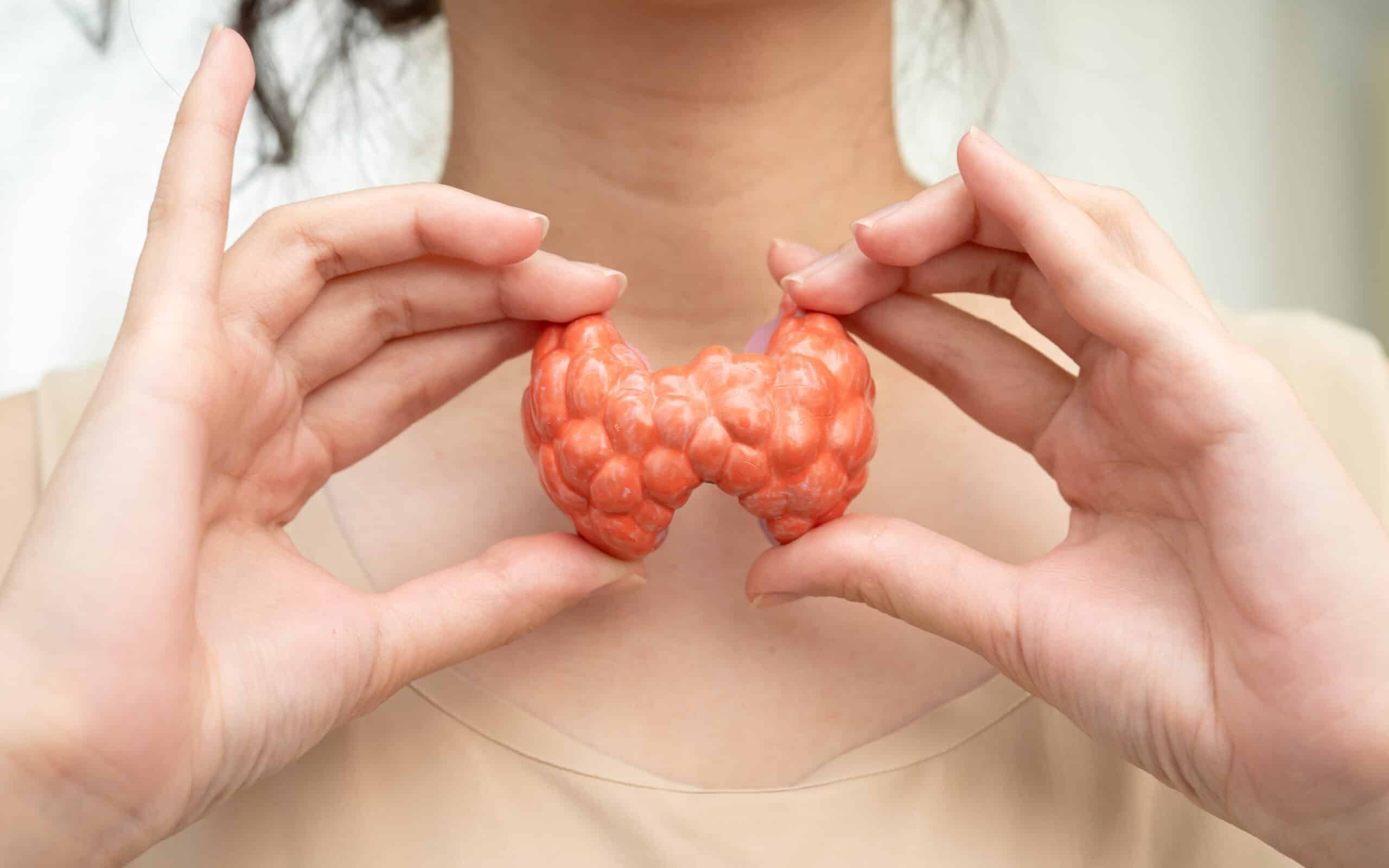 Armour Thyroid vs Synthroid: which one is right for your thyroid?