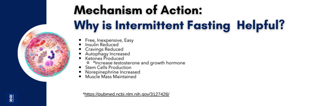 Why is Intermittent fasting Helpful?